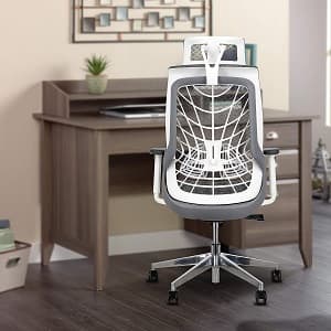 JD9 high back ergonomic chair for office & home