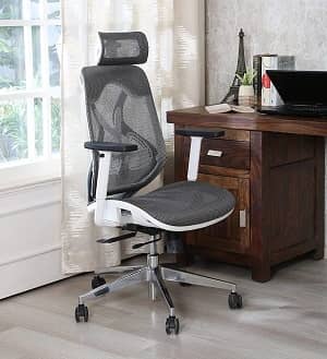 NXTGEN MISURAA imported xenon high back ergonomic office and home chair